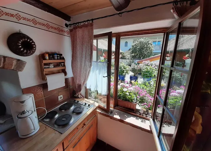 Apartamento Ferienhaeuschen Rosi Brehm Hollfeld